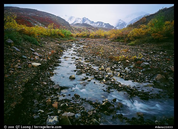 Creek near Polychrome Pass. Denali National Park, Alaska, USA.