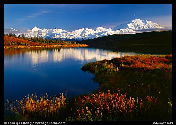 Mt Mc Kinley above Wonder Lake, evening. Denali National Park, Alaska, USA.