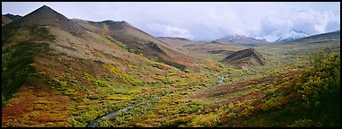 Tundra-covered foothills and valley. Denali  National Park (Panoramic color)