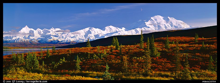 Tundra landscape with Mount McKinley. Denali National Park (color)