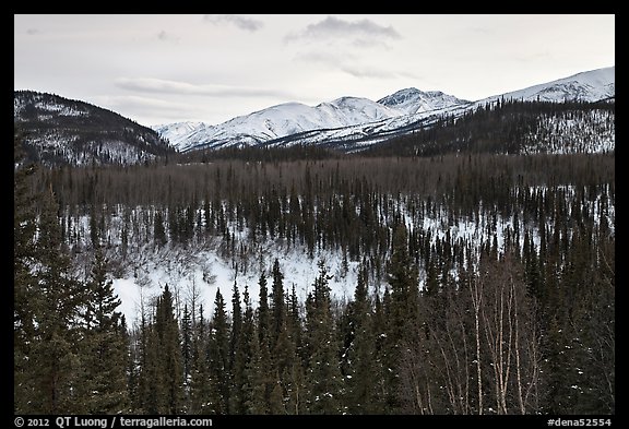 Riley Creek drainage and mountains in winter. Denali National Park (color)