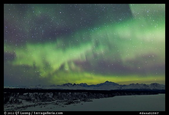 Aurora and stars above Alaska range. Denali National Park, Alaska, USA.