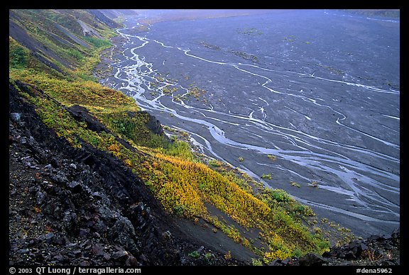 Braids of the  McKinley River on sand bar near Eielson. Denali  National Park, Alaska, USA.