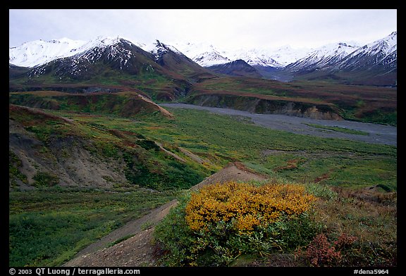 Alaska Range from Eielson. Denali National Park (color)