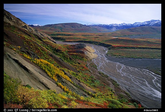 Braided river from Polychrome Pass, morning. Denali National Park, Alaska, USA.
