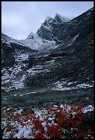 Arrigetch peaks. Gates of the Arctic National Park, Alaska, USA.