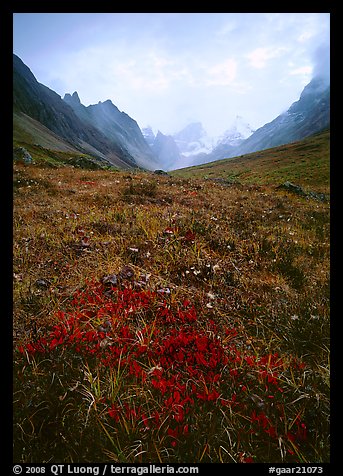 Low tundra in autum color and Arrigetch Peaks. Gates of the Arctic National Park, Alaska, USA.