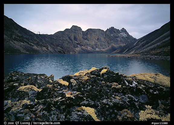 Dark rock and moss, Aquarius Lake. Gates of the Arctic National Park, Alaska, USA.