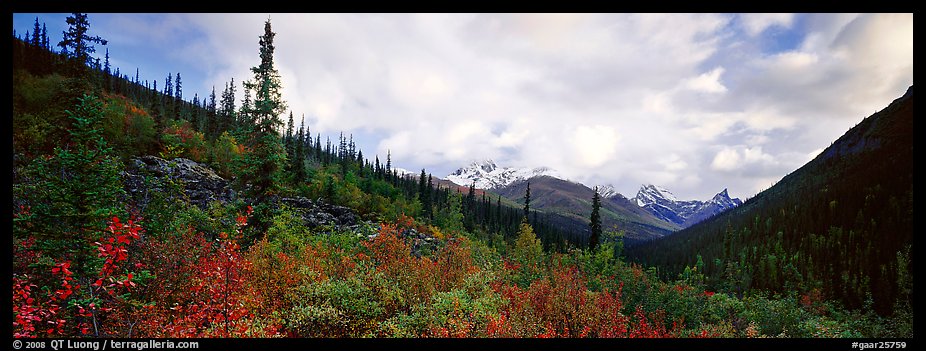 Boreal forest landscape. Gates of the Arctic National Park, Alaska, USA.