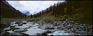 Taiga scenery with stream. Gates of the Arctic National Park (Panoramic color)