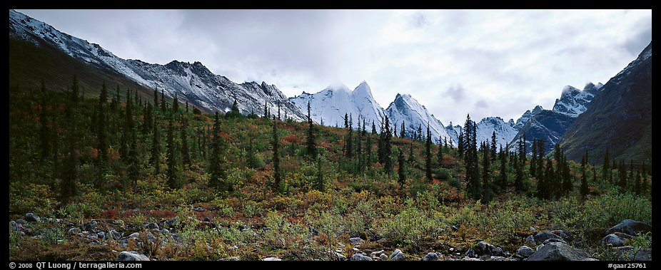 Taiga forest and peaks with fresh dusting of snow. Gates of the Arctic National Park, Alaska, USA.