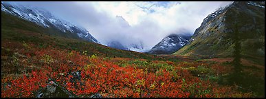 Brooks range landscape in the fall. Gates of the Arctic National Park (Panoramic color)