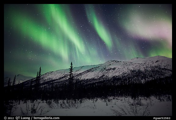 Colorful aurora curtains over Brooks Range. Gates of the Arctic National Park, Alaska, USA.