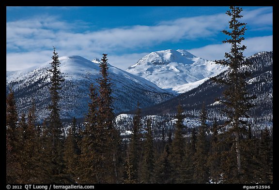 Boreal forest and snowy Brooks Range. Gates of the Arctic National Park, Alaska, USA.