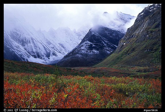 Tundra and Arrigetch Peaks partly hidden by clouds. Gates of the Arctic National Park, Alaska, USA.