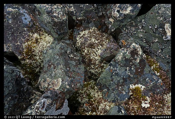 Close-up of dark rocks covered with moss and lichen. Gates of the Arctic National Park (color)