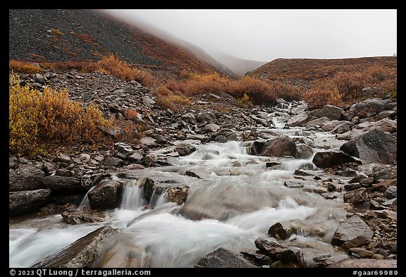 Inukpasugruk Creek tributary in autumn. Gates of the Arctic National Park (color)