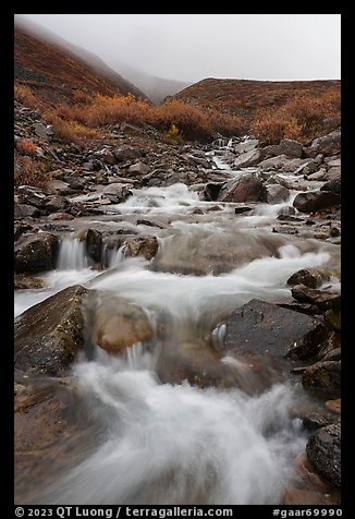 Creek cascading in autumn with misty hills. Gates of the Arctic National Park (color)