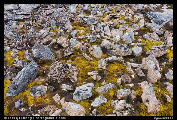 Angular rocks and mosses. Gates of the Arctic National Park (color)