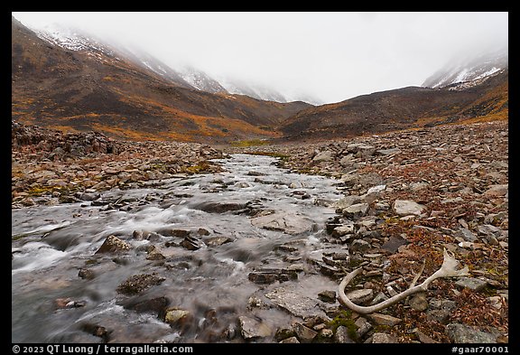 Antler, creek, and snowy peaks covered by clouds. Gates of the Arctic National Park (color)
