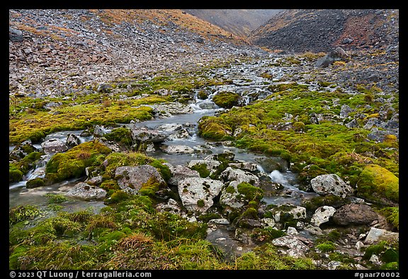 Stream and mosses. Gates of the Arctic National Park (color)