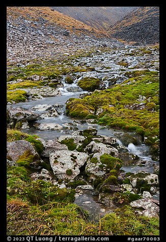 Stream flowing through rocks and mosses. Gates of the Arctic National Park (color)
