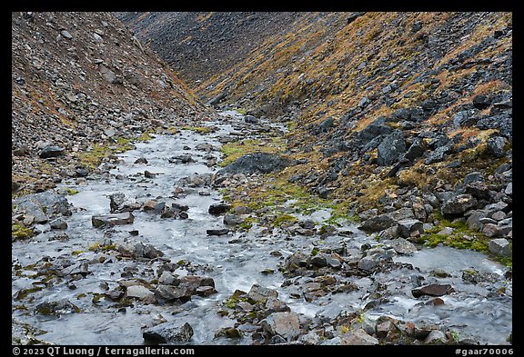Stream in narrow gorge. Gates of the Arctic National Park (color)