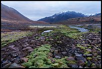 Field of angular rocks alternating with moss and snowy mountains. Gates of the Arctic National Park ( color)