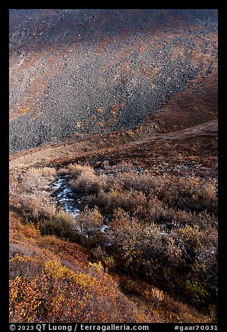 Stream, willows, and rocky slope. Gates of the Arctic National Park (color)