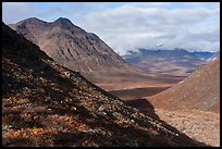 Kollutuk Mountain and Inukpasugruk Valley. Gates of the Arctic National Park ( color)