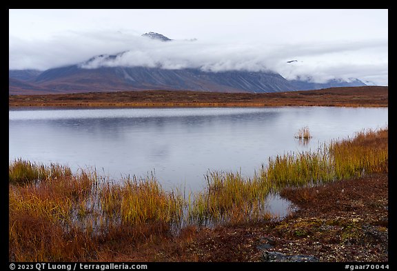 Pond and mountain above Anaktuvuk Pass, rain. Gates of the Arctic National Park (color)