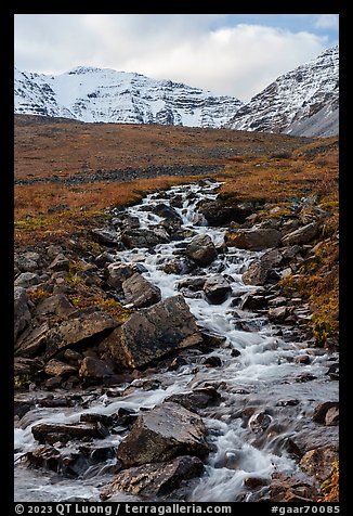 Stream and snowy peaks. Gates of the Arctic National Park (color)