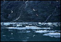 Icebergs and waterfalls, West arm. Glacier Bay National Park, Alaska, USA. (color)