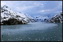 John Hopkins inlet with floating ice in late May. Glacier Bay National Park, Alaska, USA. (color)
