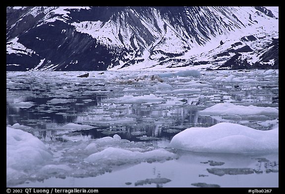 Ice-chocked waters in John Hopkins inlet. Glacier Bay National Park (color)