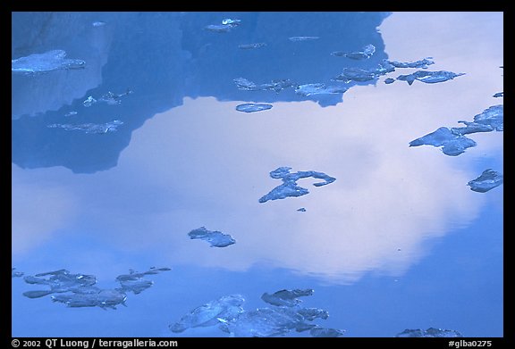 Ice and reflections, Mc Bride inlet. Glacier Bay National Park, Alaska, USA.