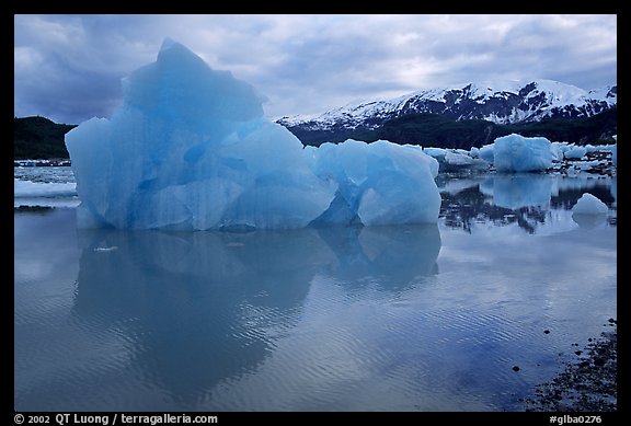 Iceberg, Mc Bride inlet. Glacier Bay National Park, Alaska, USA.