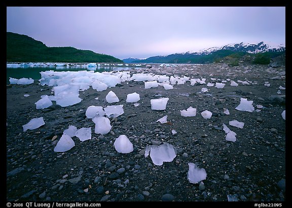 Icebergs near Mc Bride glacier, Muir inlet. Glacier Bay National Park, Alaska, USA.