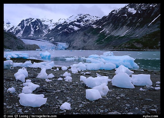Beached icebergs and McBride Glacier. Glacier Bay National Park, Alaska, USA.