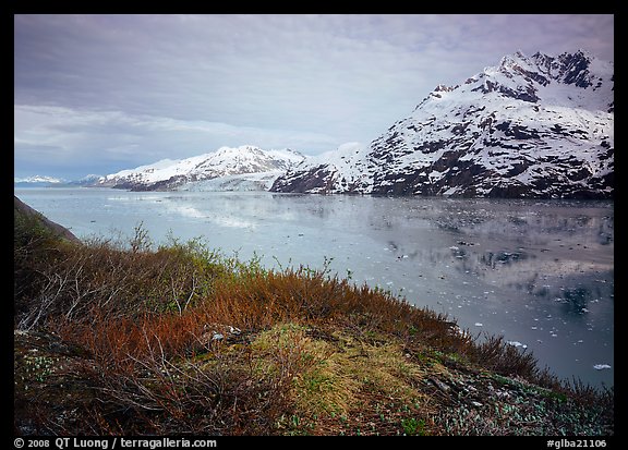 Snowy mountains and icy fjord seen from high point, West Arm. Glacier Bay National Park, Alaska, USA.