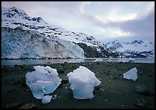 Lamplugh glacier and Mt Cooper. Glacier Bay National Park, Alaska, USA.