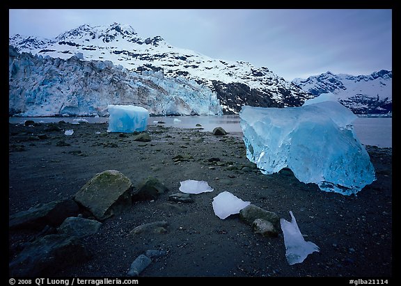 Beach, translucent iceberg, Lamplugh Glacier. Glacier Bay National Park, Alaska, USA.