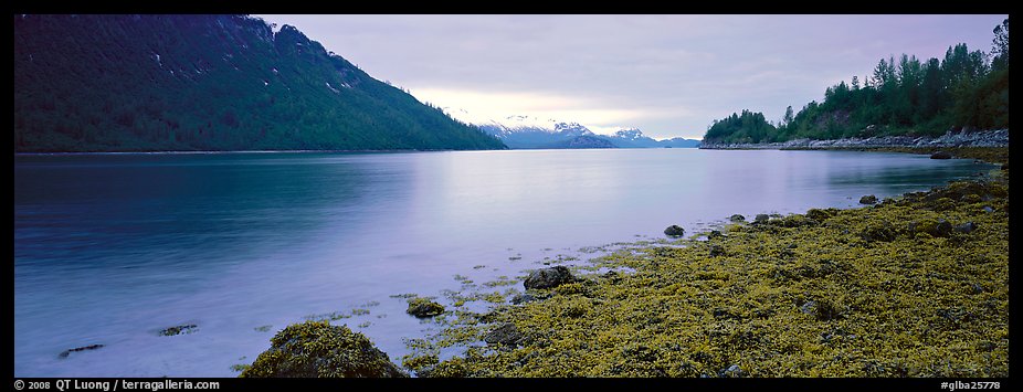 Moss-covered rocks in fjord. Glacier Bay National Park, Alaska, USA.