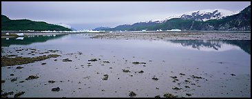 Tidal flat with icebergs in the distance. Glacier Bay National Park, Alaska, USA.