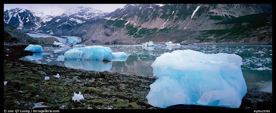 Glacial scenery with icebergs and glacier. Glacier Bay National Park, Alaska, USA.