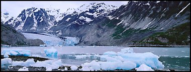 Coastal scenery with icebergs and tidewater glacier. Glacier Bay National Park, Alaska, USA.