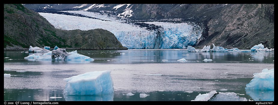Glacier front and inlet. Glacier Bay National Park, Alaska, USA.