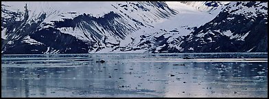Snowy slopes reflected in ice-chocked waters. Glacier Bay National Park (Panoramic color)