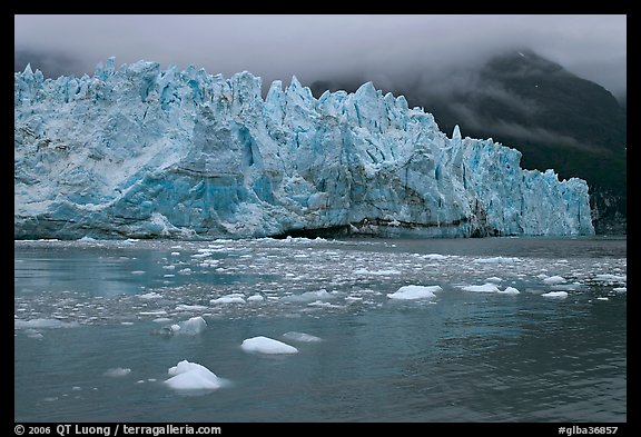 Icebergs and blue ice face of Margerie Glacier. Glacier Bay National Park, Alaska, USA.