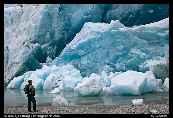 Hiker looking at ice wall at the front of Reid Glacier. Glacier Bay National Park (color)